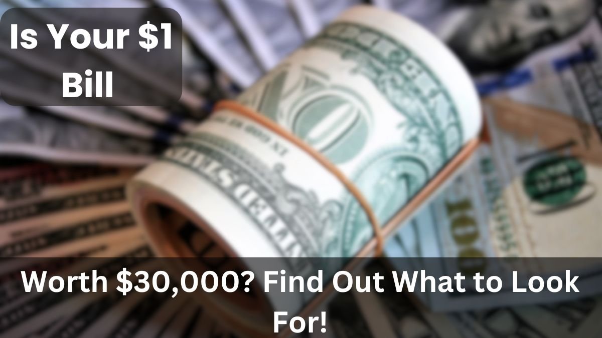 Is Your $1 Bill Worth $30,000 Find Out What to Look For!