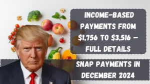 SNAP Payments in December 2024: Income-Based Payments from $1,756 to $3,516 – Full Details